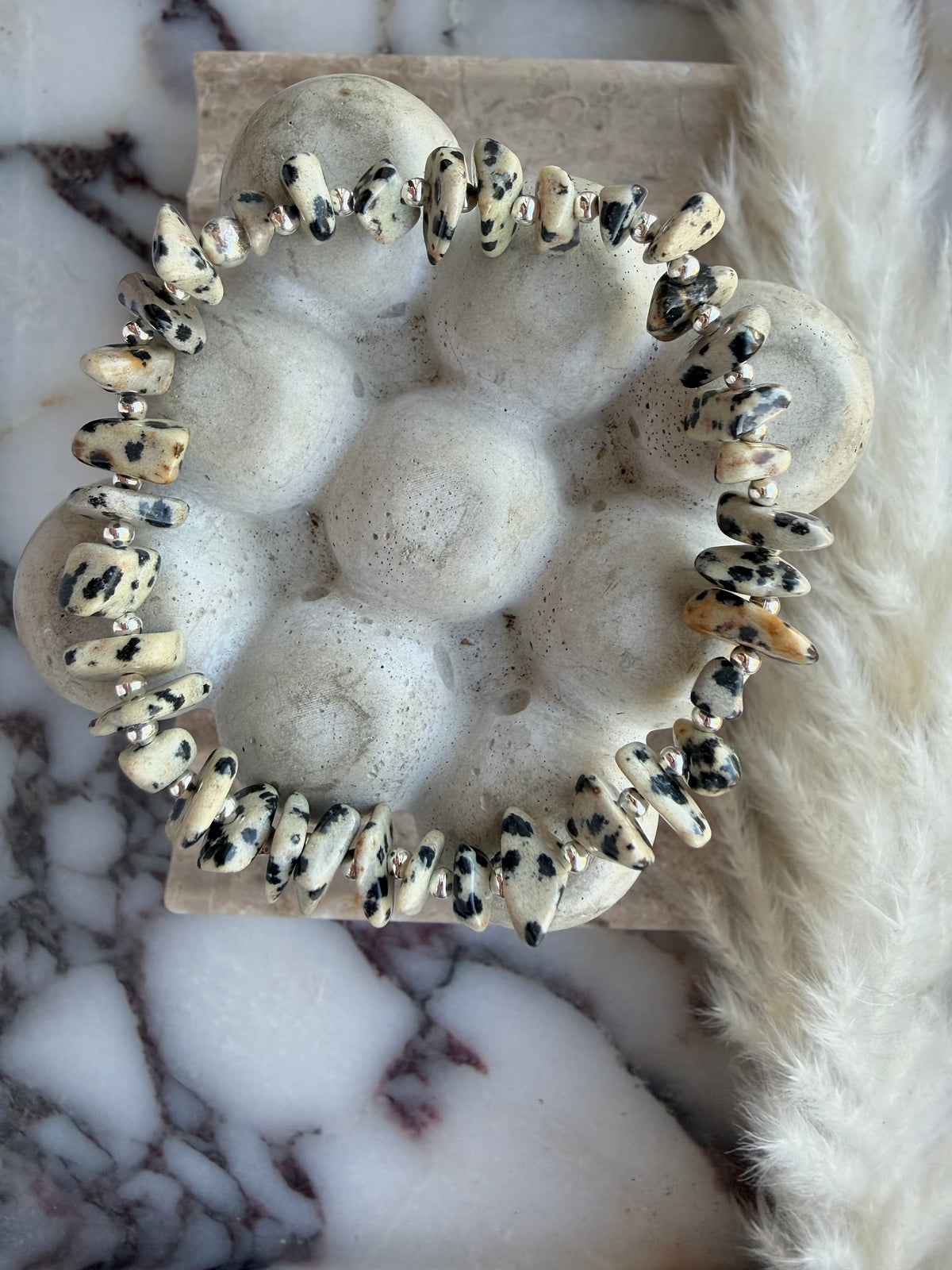 The Dalmatian Jasper family