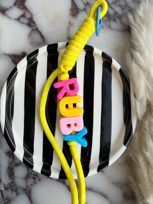 The Colours - custom clip charms
